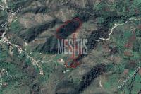 34115 SQM Plot in Pigenia (Nicosia) for sale 
