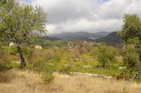 6523 SQM Land · Pera Pedi (Limassol) for sale 
