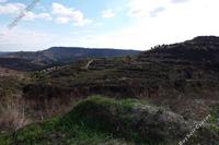 16389 SQM Land in Pachna (Limassol) for sale 