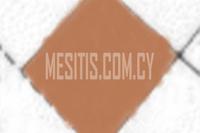 549 SQM Plot in Nicosia Municipality (Nicosia) for sale 
