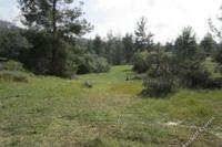 7990 SQM Land in Mitsero (Nicosia) for sale 