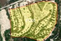 8863 SQM Land · Tsada (Paphos) for sale 
