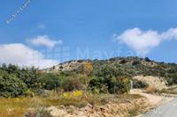 23746 SQM Land in Agios Theodoros Larnacas (Larnaca) for sale 