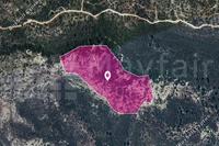 45820 SQM Land in Platanisteia (Limassol) for sale 