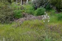 1 Bedroom Bungalow · Vasa Kellakiou (Limassol) for sale 