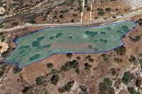 5867 SQM Land · Fasoula Lemesou (Limassol) for sale 