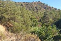 2007 SQM Land in Agios Mamas (Limassol) for sale 