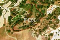 5017 SQM Land in Armou (Paphos) for sale 
