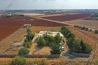 4 Bedroom Bungalow in Ormideia (Larnaca) for sale 
