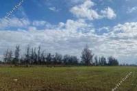 5352 SQM Land · Peristerona Lefkosias (Nicosia) for sale 