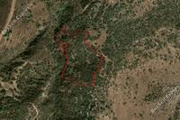 26191 SQM Land in Neo Chorio (Paphos) for sale 