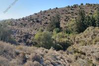 12375 SQM Land in Anglisides (Larnaca) for sale 