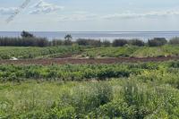 8801 SQM Plot in Ormideia (Larnaca) for sale 