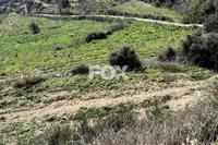 5286 SQM Land in Agios Ambrosios (Limassol) for sale 