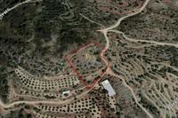 4348 SQM Land in Agioi Vavatsinias (Larnaca) for sale 