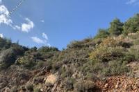 4683 SQM Land · Palaichori Oreinis (Nicosia) for sale 