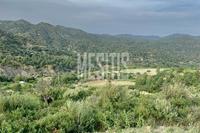 25284 SQM Land in Agios Mamas (Limassol) for sale 