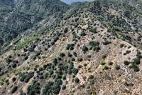 4683 SQM Land · Palaichori Oreinis (Nicosia) for sale 