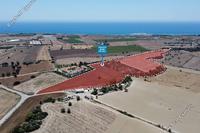 35452 SQM Land in Anafotida (Larnaca) for sale 