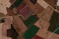 11981 SQM Land in Frenaros (Famagusta) for sale 