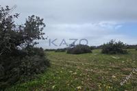 6000 SQM Land · Pentakomo (Limassol) for sale 