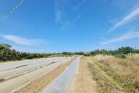 1122 SQM Plot · Gialia (Paphos) for sale 