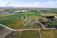 12023 SQM Land in Softades (Larnaca) for sale 