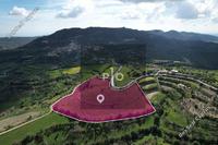 10034 SQM Land · Dora (Limassol) for sale 