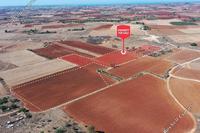 45950 SQM Land · Avgorou (Famagusta) for sale 