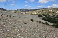 20736 SQM Land in Amargeti (Paphos) for sale 