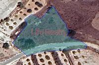 2342 SQM Land in Asgata (Limassol) for sale 