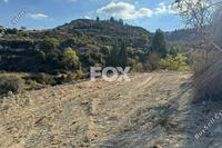 11037 SQM Land · Pachna (Limassol) for sale 