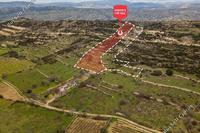 11037 SQM Land · Pachna (Limassol) for sale 