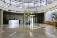  Office in Egkomi (Nicosia) to rent 