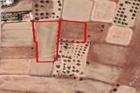 6356 SQM Plot in Mammari (Nicosia) for sale 