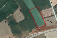 5686 SQM Land · Mazotos (Larnaca) for sale 