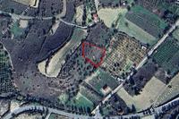 1673 SQM Land in Praitori (Paphos) for sale 