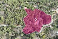 13044 SQM Plot in Pera Pedi (Limassol) for sale 