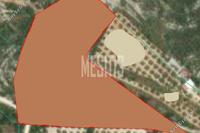 5184 SQM Land in Alassa (Limassol) for sale 