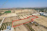 6021 SQM Plot · Athienou (Larnaca) for sale 