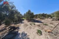 2973 SQM Plot in Aradippou (Larnaca) for sale 