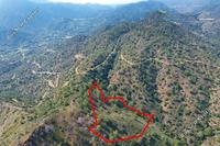 5686 SQM Land in Arakapas (Limassol) for sale 