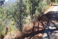 11697 SQM Land · Palaiomylos (Limassol) for sale 