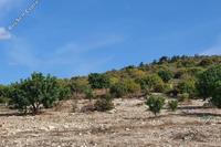 6689 SQM Land in Koili (Paphos) for sale 