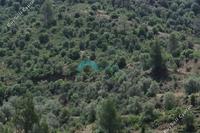 4097 SQM Land in Lythrodontas (Nicosia) for sale 