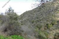 8362 SQM Land in Dora (Limassol) for sale 