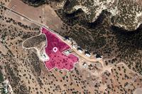 17392 SQM Land in Saint George Peyia (Paphos) for sale 