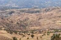 4684 SQM Land in Pentalia (Paphos) for sale 