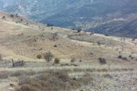 10034 SQM Land · Agia Marina Kelokedaron (Paphos) for sale 