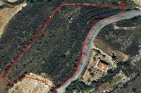 11151 SQM Plot in Laneia (Limassol) for sale 